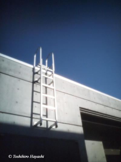Wall and ladder 