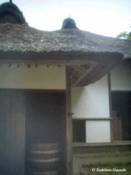 Sakura samurai residences #5