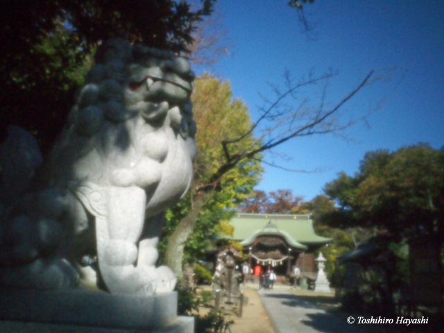 Kikuta shrine #1