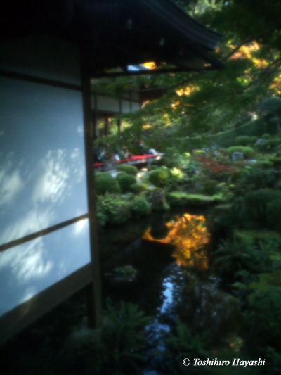 From Kyoto in Autumn #1