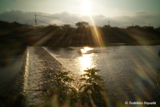 Kamogawa river in the morning #1