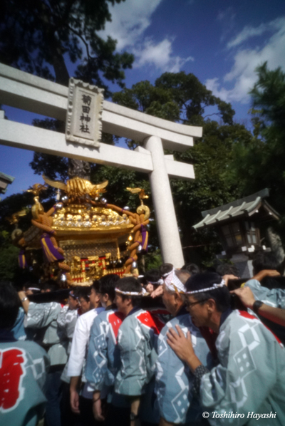 Mikoshi at Kikuta Shrine #1