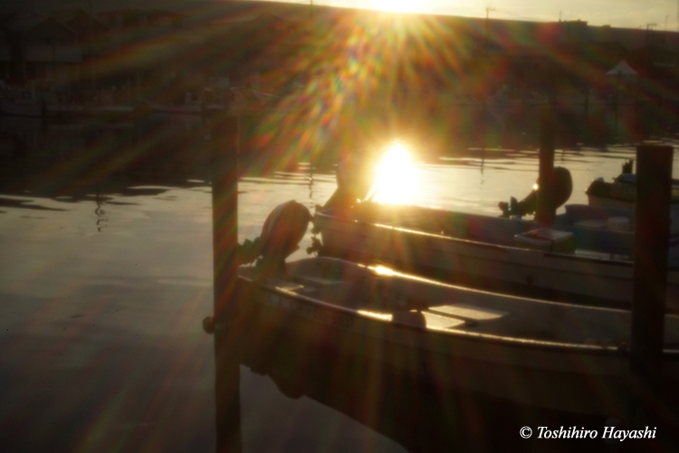 #35  "Anchorage of fisher boats in the morning"