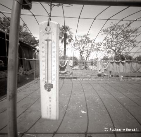Thermometer (Peaceful Images)