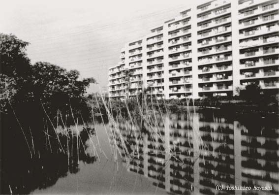 Pond and Apartment (Boundary of the City)