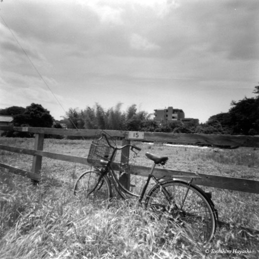 bike with fence