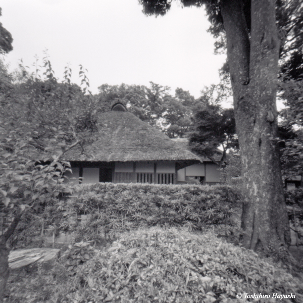 Old Samurai house #2