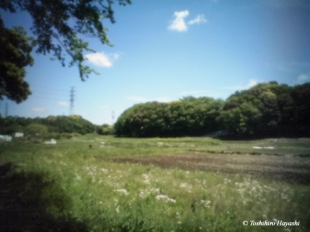 Natsumi green space #3