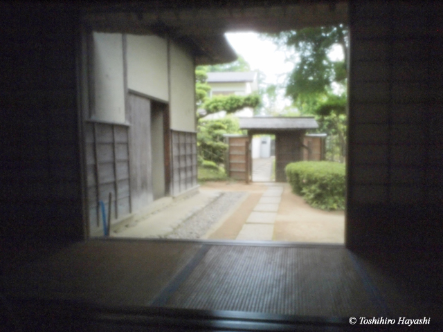 Sakura samurai residences #1