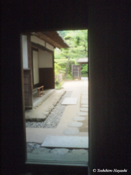 Sakura samurai residences #4