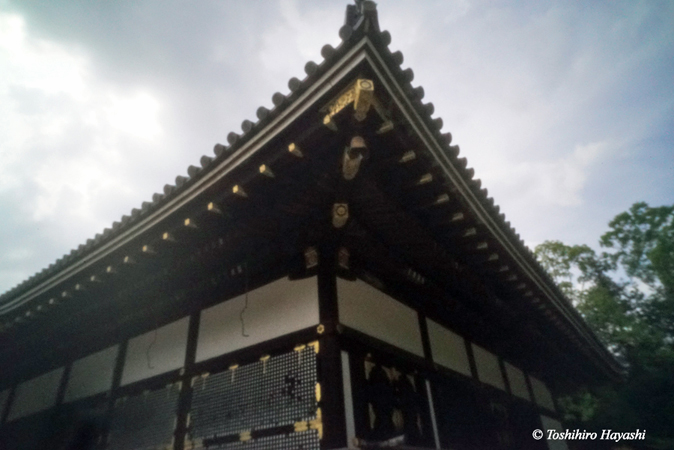 Ninna-ji temple #2