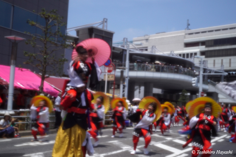 Yosakoi (Summer festival) #3
