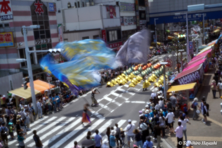 Yosakoi (Summer festival) #6