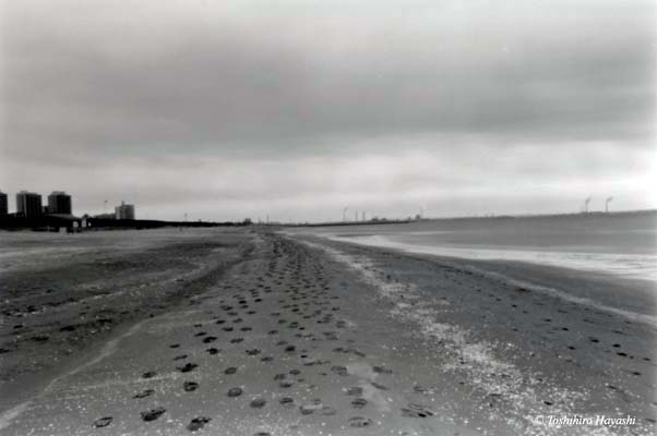 Footprints on the shore (Wangan-drive 03) 