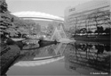 Tokyo Dome and pond (Korakuen Park #6)