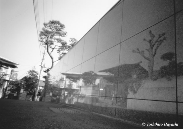 Wall's reflection #01